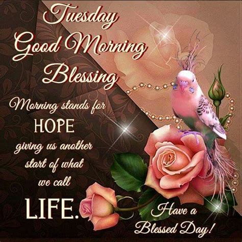 Tuesday Blessings. 2,756 Pins ... Good Morning Tuesday Images. Good Morning Texts. Tuesday Morning. Inspirational Morning Prayers. Morning Prayer Quotes. Good Day Quotes. Quote Of The Day. Best Quotes. Good Morning Gif Animation. Psalm 50. …